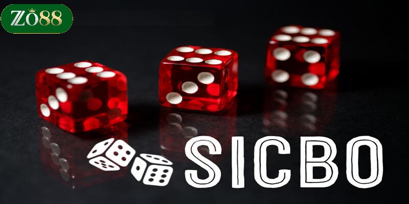 Hướng dẫn cách đặt cược Sicbo