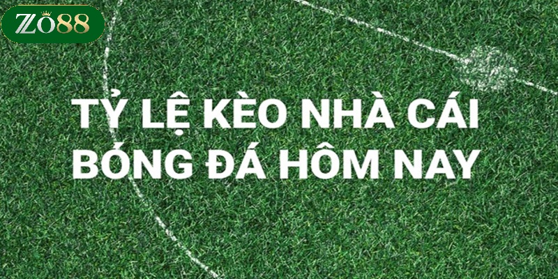 Soi Kèo ZO88 - Hướng Dẫn Chi Tiết Cho Cược Thủ Thắng Lớn 3 Các loại hình soi kèo tại nhà cái